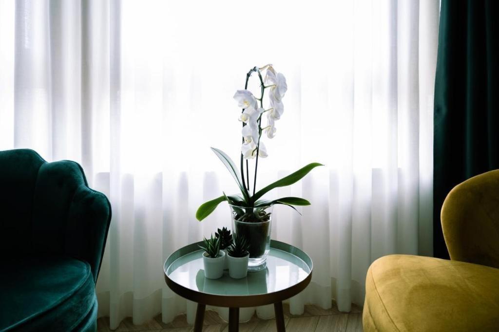 Salotto Room Boutique Pescara Ngoại thất bức ảnh